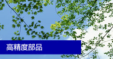 �����x���i